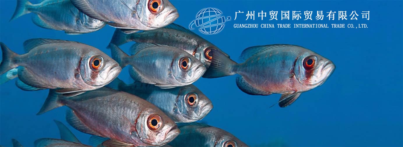 鱔魚
